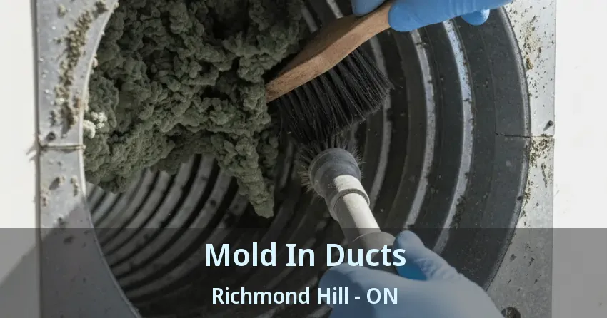 Mold In Ducts Richmond Hill - ON